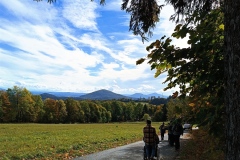 IMG_20231031_152718