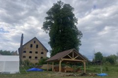 IMG_1916