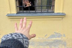IMG_0100