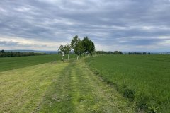 IMG_4587