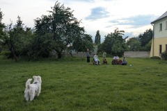 PXL_20260515_171313140-kopie