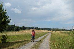 DSCN8378