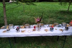 IMG_20220819_195034