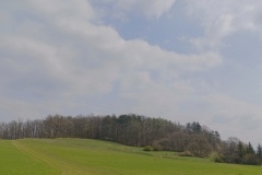IMG_20250414_230552