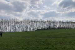 IMG_4889