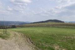 IMG_4890