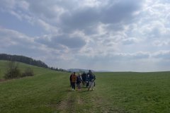 IMG_9476