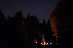 IMG_4321