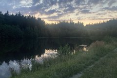 IMG_6661