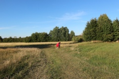 IMG_7162