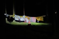 IMG_8151