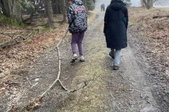 IMG_3524