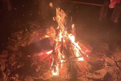 IMG_4066
