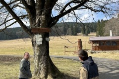 IMG_5194