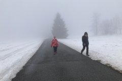 IMG_8291