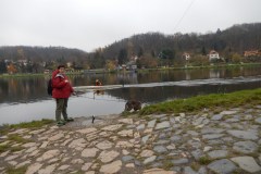 DSCN0230