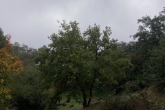 IMG_4829