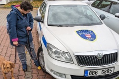 PXL_20221022_092645431.MP_