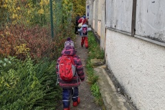 PXL_20221022_093512639