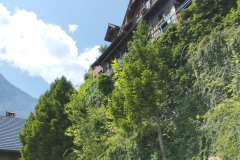 IMG_20220724_122207