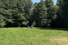 IMG_4611