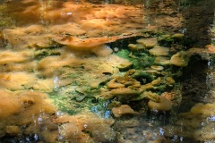 1_PXL_20250704_103050855