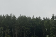 2_IMG_0277