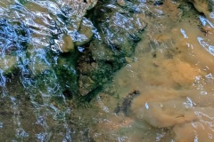 3_PXL_20250704_102551050