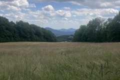 IMG_9100