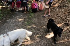 IMG_0628