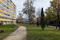 PXL_20241020_085223609