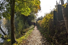 PXL_20241020_094221402