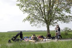 TÝMBÁČ PRO ASISTENTY // KVĚTEN 22