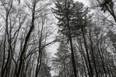 PXL_20221210_134759509