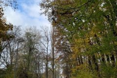 IMG_3489