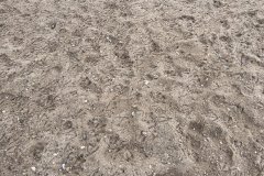 IMG_8864