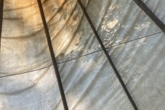 IMG_6822