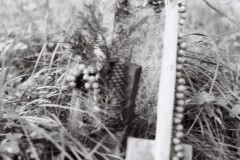 R1-03577-0010